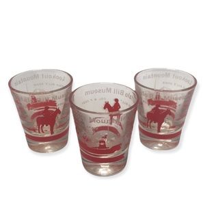 Vintage Buffalo Bill Shot Glasses